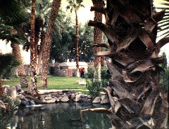 Furnace Creek; Death Valley California